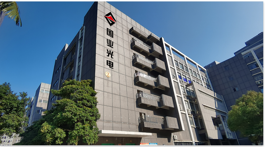Shenzhen Guoye Optoelectronics 2024 Povzetek konca leta